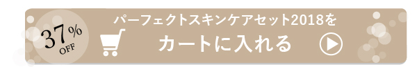 パーフェクトスキンケアセット2018を購入する