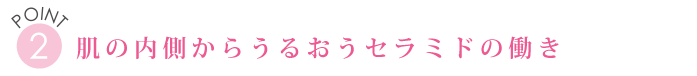 POINT２　肌の内側からうるおうセラミドの働き