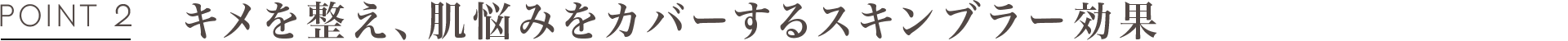 POINT2 キメを整え、肌悩みをカバーするスキンブラー効果