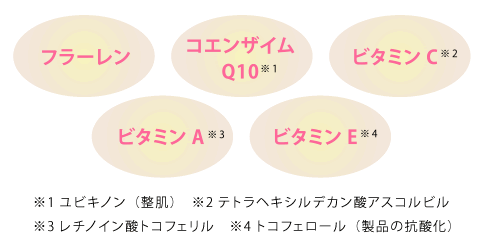 商品特徴　説明