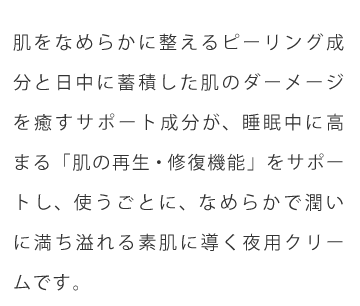 商品特徴　文字