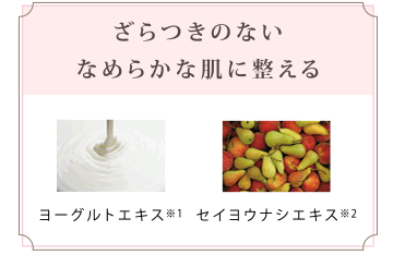 商品特徴　図１