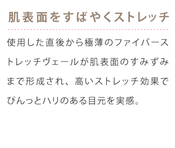 商品特徴　説明