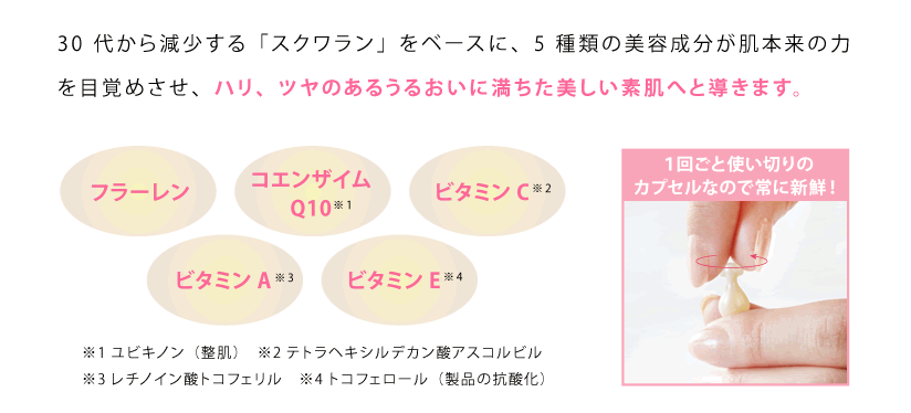 商品特徴　説明