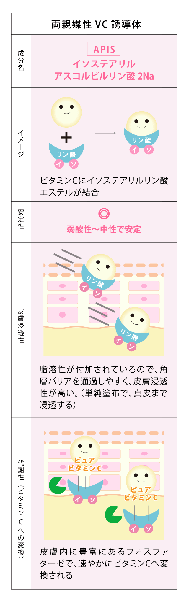 ビタミンCの効果イメージ図